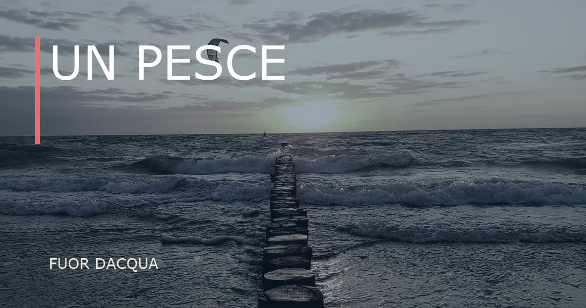 Un pesce fuor d'acqua: fish out of water